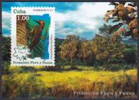 (№313) Блок марок Куба 2014 год "Филогения семейства fernandinae", Гашеный