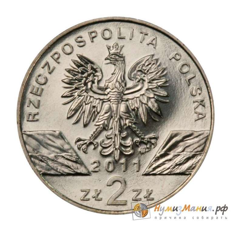 (207) Монета Польша 2011 год 2 злотых &quot;Барсук&quot;  Латунь  UNC
