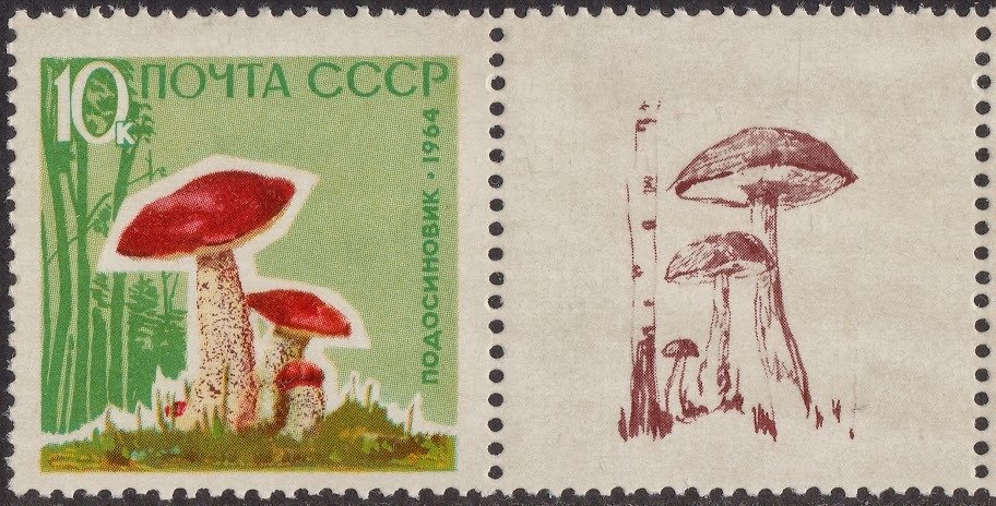 (1964-152-156) Серия Набор марок с купонами (5 шт) СССР     Грибы III O
