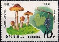 (1989-018) Марка Северная Корея "Колпак кольчатый"   Грибы и ягоды III Θ