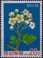 (1975-068) Марка Северная Корея "Боярышник"   Цветение III Θ