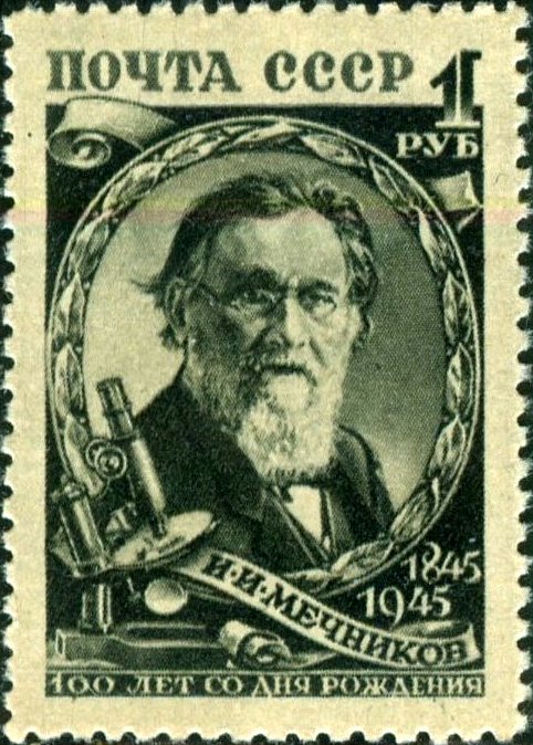 1945-53 Марка СССР Портрет (Зелёная)  И.И. Мечников. 100 лет со дня рождения I Θ