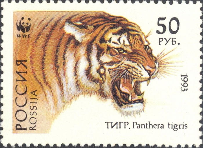 (1993-061) Марка Россия &quot;Уссурийский тигр&quot;   Уссурийский тигр III O