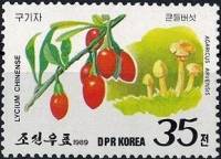 (1989-022) Марка Северная Корея "Лициум китайский"   Грибы и ягоды III Θ