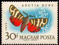 (1959-066) Марка Венгрия "Медведица геба"    Бабочки II Θ