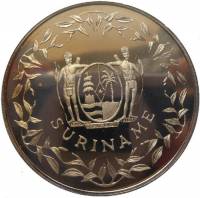 (№1994km44b) Монета Суринам 1994 год 100 Gulden (ЧЕМПИОНАТ МИРА ПО ФУТБОЛУ)