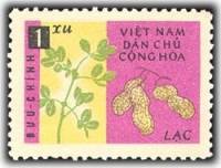 (1962-042) Марка Вьетнам "Арахис"   Сельское хозяйство II Θ