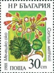 (1988-006) Марка Болгария &quot;Кортуза Маттиоли&quot;   Водные растения III O