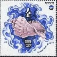 1975-054 Марка СССР Рапана  Всемирная выставка ЭКСПО-75. Море и его будущее III O