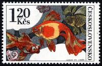 (1975-028) Марка Чехословакия "Золотая рыбка "    Аквариумные рыбы III Θ