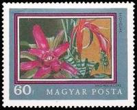 (1971-051) Марка Венгрия "Бромелия"    200-летие Ботанического сада Университета Будапешта I Θ