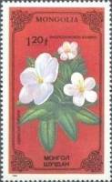 (1986-045) Марка Монголия "Рододендрон Адамса"    Лекарственные растения III Θ