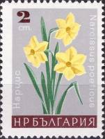 (1966-095) Марка Болгария "Нарцисс"   Садовые цветы II Θ