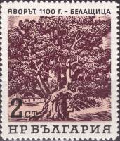 (1964-085) Марка Болгария "1100-летний явор"   Вековые деревья I Θ