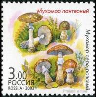 2003-061 Марка Россия Мухомор пантерный и серо-розовый  Грибы-двойники III O