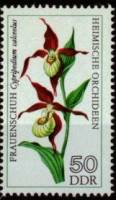 (1976-036) Марка Германия (ГДР) "Башмачок настоящий"    Орхидеи III Θ