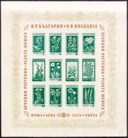 (1953-042-053) Блок Болгария "Лекарственные растения Болгарии"   Лекарственные растения Болгарии (2)