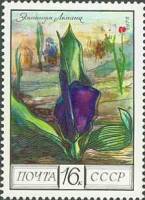 1975-109 Марка СССР Эминиум Лемана  Флора III O