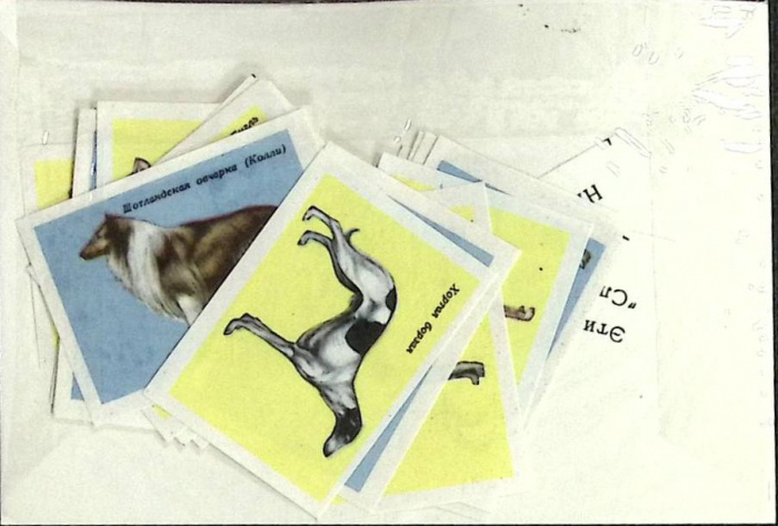 Набор спичечных этикеток &quot;Собаки&quot;, в упаковке 28 шт, СССР (сост. на фото)