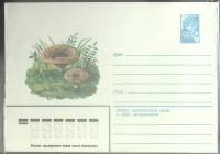 1979-год  Конверт маркированный СССР Грибы   ,  Марка