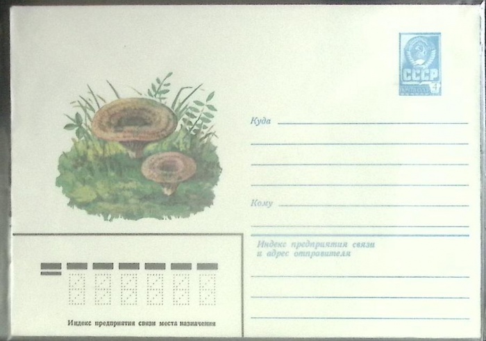 1979-год  Конверт маркированный СССР Грибы   ,  Марка