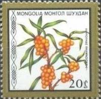 (1987-042) Сцепка (2 м) Монголия "Облепиха"    Съедобные ягоды III Θ