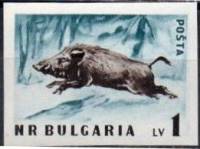 (1958-016a) Марка Болгария "Кабан" Без перфорации   Дикие животные Болгарии III O