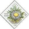 1981-048 Марка СССР Колючник бесстебельный  Цветы украинских Карпат III Θ