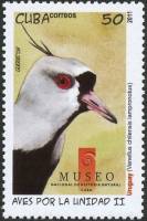 (№5514) Марка Куба 2011 год "Южный Чибис Vanellus chilensis", Гашеная