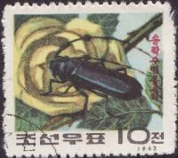 (1963-031) Марка Северная Корея "Длиннорогий жук "   Жуки III Θ