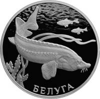 (160 спмд) Монета Россия 2019 год 2 рубля "Белуга"  Серебро Ag 925  PROOF