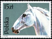 (1989-001) Марка Польша "Липпицианская лошадь"    Лошади III O