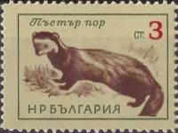 (1963-020) Марка Болгария "Хорёк-перевязка"   Дикие животные II Θ