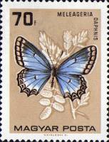 (1966-003) Марка Венгрия "Голубянка дафнис"    Бабочки III Θ