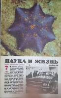 Журнал Наука и жизнь 1981 № 7 Москва Мягкая обл. 160 с. С ч/б илл