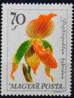 (1965-078) Марка Венгрия "Пафиопедилум"    Цветы ботанического сада II Θ