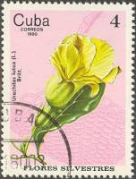 (1980-072) Марка Куба "Урехиты желтые"    Полевые цветы III O