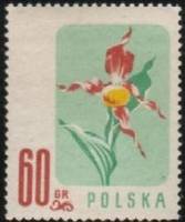 (1957-031) Марка Польша "Башмачок настоящий" , III Θ