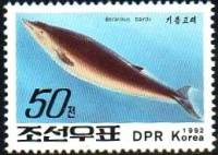 (1992-104) Марка Северная Корея "Плавуны"   Киты III Θ