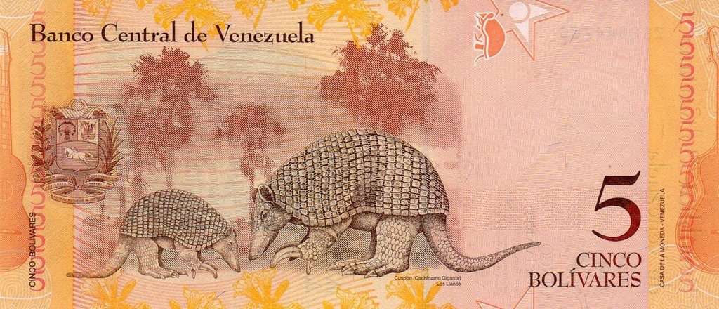 (2014) Банкнота Венесуэла 2014 год 5 боливаров &quot;Педро Камехо&quot;   UNC