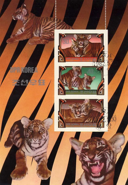 (1982-061) Блок марок  Северная Корея &quot;Тигрята (2)&quot;   Тигры III Θ