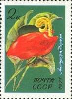 1971-122 Марка СССР Антуриум Шерцера   Тропические и субтропические растения III O