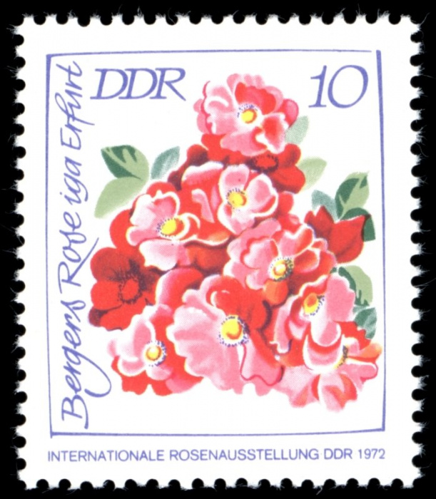 (1972-052a) Лист (4м) Германия (ГДР) &quot;Розы (2)&quot;  перфорация 13½:13  Выставка роз III Θ
