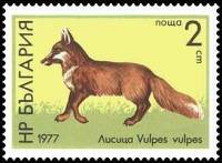 (1977-038) Марка Болгария "Лиса"   Дикая природа II Θ