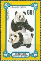 (1977-075) Марка Монголия "Мать и детеныш"    Панды, или бамбуковые медведи III O