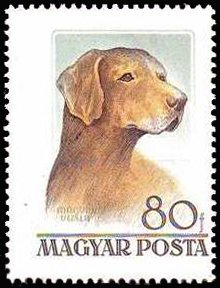 (1956-004) Марка Венгрия &quot;Венгерская выжла&quot;    Венгерские породы собак III Θ