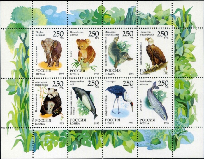 1993-067-74 Лист 8м 2х4 Россия 250 руб x8  Фауна мира III O
