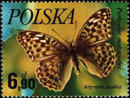 (1977-039) Марка Польша &quot;Перламутровка большая&quot;    Бабочки III Θ