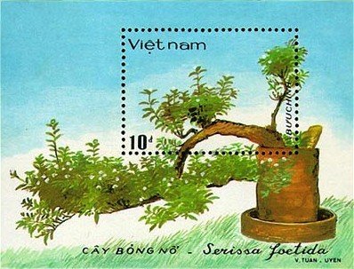 (1986-097) Блок марок  Вьетнам &quot;Карликовое дерево&quot;    Вьетнамский Бонсай III Θ