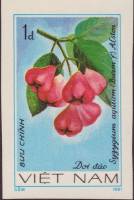 (1981-043a) Марка Вьетнам "Джамбу"  Без перфорации  Фрукты III O